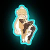 Neon 'Sleepy Traveller' glow sign in vibrant RGB colours ambiance.