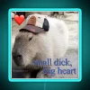 Quirky capybara-inspired humor for gamers and meme enthusiasts' homes.