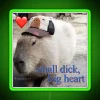 Colorful Capybara Meme Decor with Small Dick Big Heart Personality Lamp