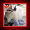 Quirky Capybara-Themed Neon Sign with Color-Changing Humorous Meme Design