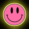 Colorful RGB LED Smiley Face Neon Sign Decoration Lighting Artwork