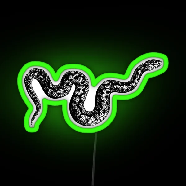 Snake RGB Neon Sign
