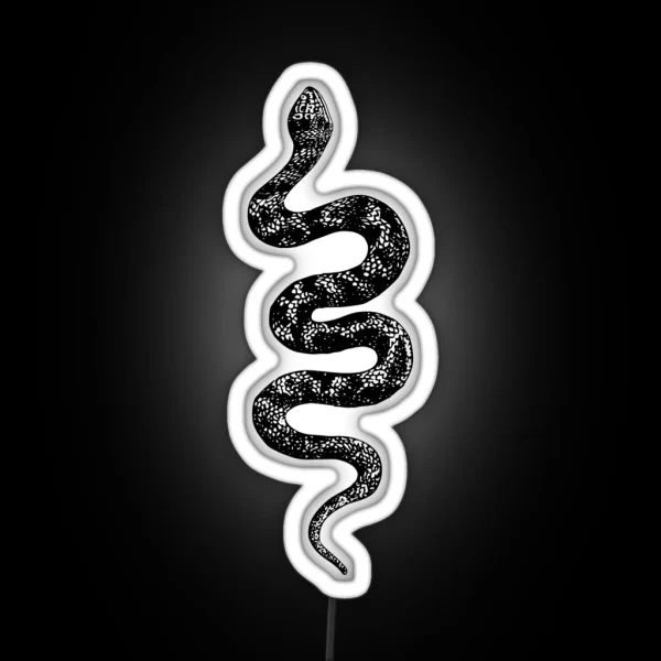 Snake RGB Neon Sign
