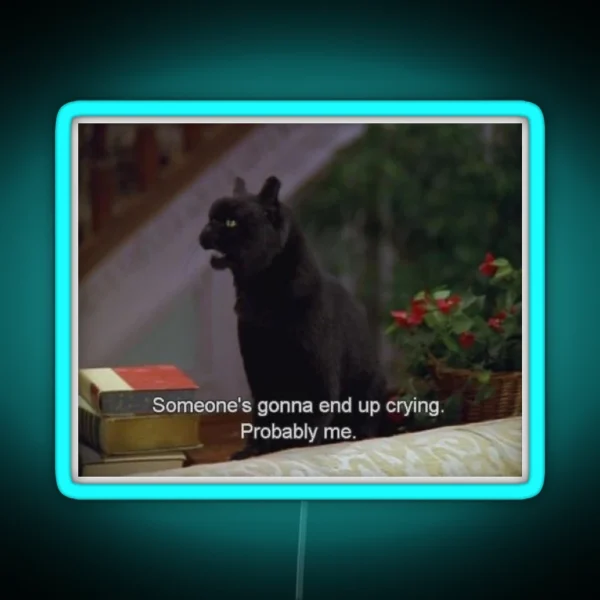 Someone S Gonna End Up Crying Probably Me RGB Neon Sign
