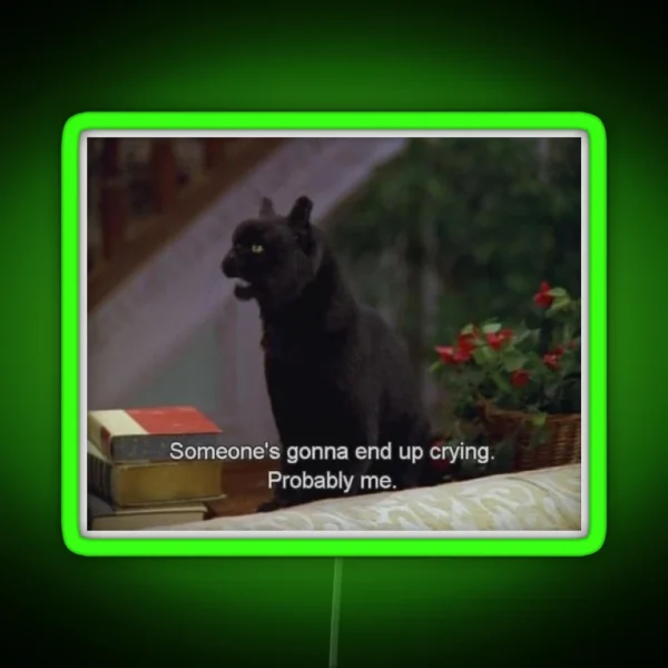 Someone S Gonna End Up Crying Probably Me RGB Neon Sign