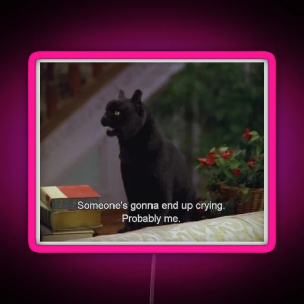 Someone S Gonna End Up Crying Probably Me RGB Neon Sign