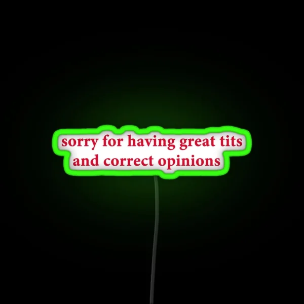 Sorry For Having Great Tits And Correct RGB Neon Sign