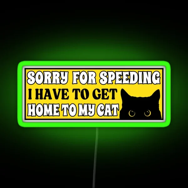 Sorry For Speeding I Have To Get Home To My Cat Funny RGB Neon Sign