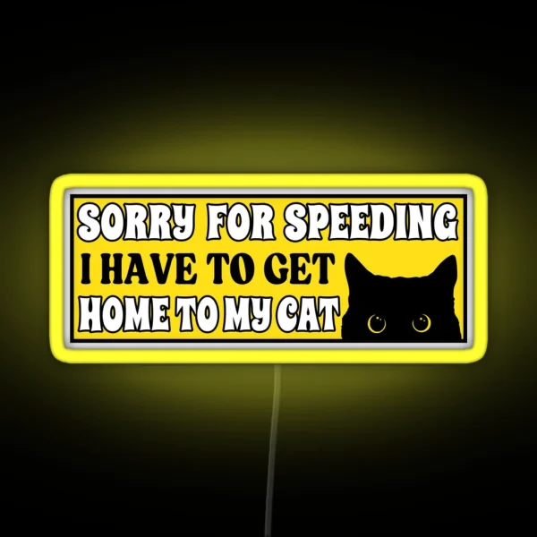 Sorry For Speeding I Have To Get Home To My Cat Funny RGB Neon Sign