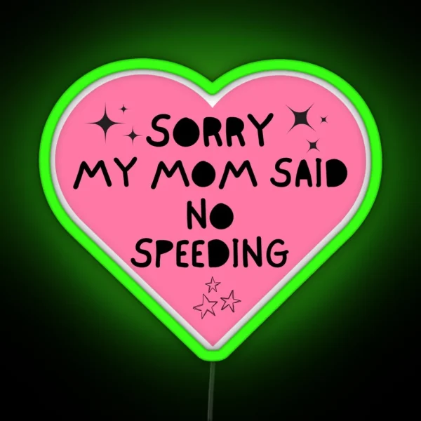 Sorry My Mom Said No Speeding RGB Neon Sign