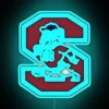 Officially licensed South Carolina State University bold RGB neon logo