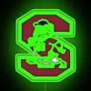 Vibrant South Carolina State University Neon Sign with Colorful RGB Lighting