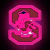 Customizable RGB LED neon sign for South Carolina State University fans.
