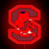 Customizable South Carolina State University LED RGB Neon Sign Decoration