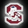 Vibrant South Carolina State University themed RGB neon wall decor