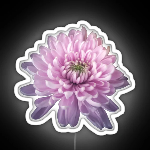 Spectral Chrysanthemum RGB Neon Sign