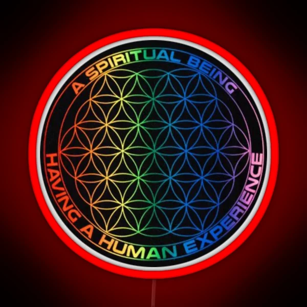 Spiritual Being Having A Human Experience RGB Neon Sign