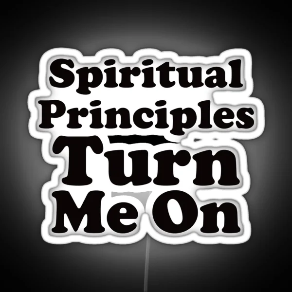Spiritual Principles Turn Me On Funny Sobriety RGB Neon Sign