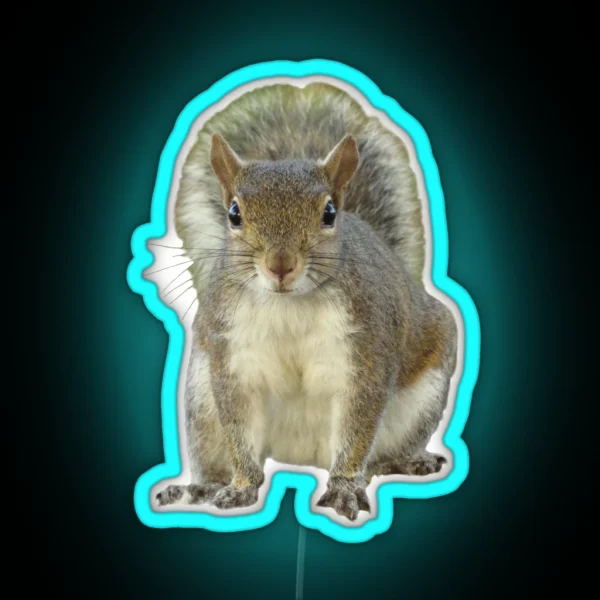 Squirrel Face To Face RGB Neon Sign