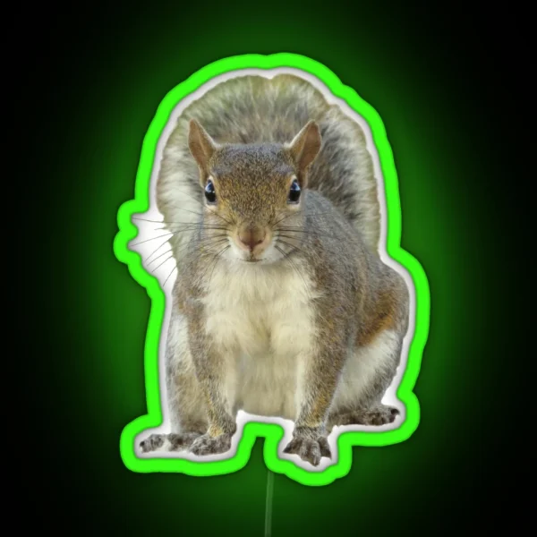 Squirrel Face To Face RGB Neon Sign
