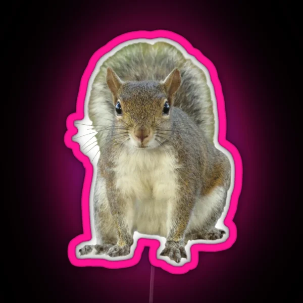 Squirrel Face To Face RGB Neon Sign