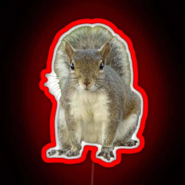 Squirrel Face To Face RGB Neon Sign