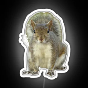 Squirrel Face To Face RGB Neon Sign