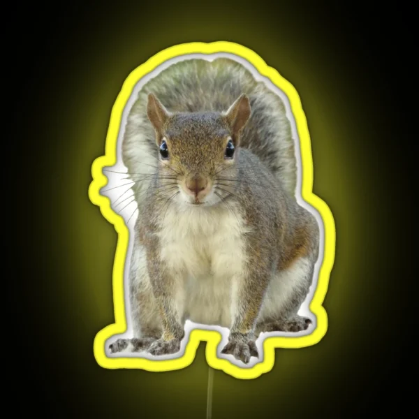 Squirrel Face To Face RGB Neon Sign