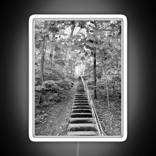 Steep Wooden Stairway RGB Neon Sign