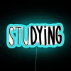 Neon Study Decorations Wall Sign with RGB Color Changing Lighting