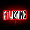 Study Motivation Boost RGB Neon Sign for Learning Ambiance.