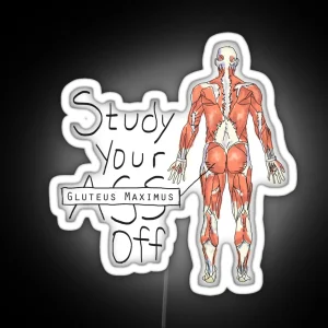 Study Your Gluteus Maximus Off RGB Neon Sign