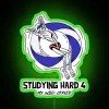 Neon study motivation sign for students pursuing wild career ambitions.