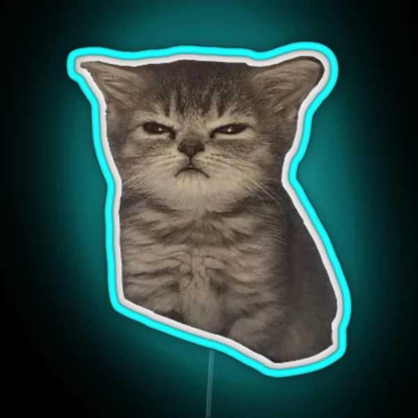 Sulky Mad Sad Cat Meme RGB Neon Sign