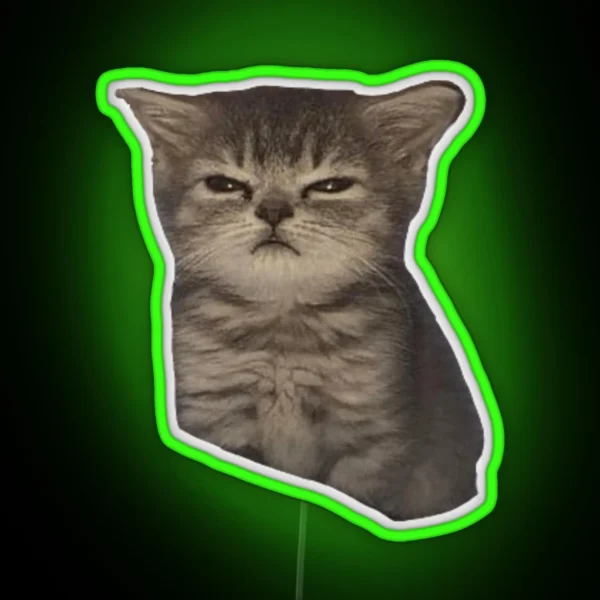 Sulky Mad Sad Cat Meme RGB Neon Sign
