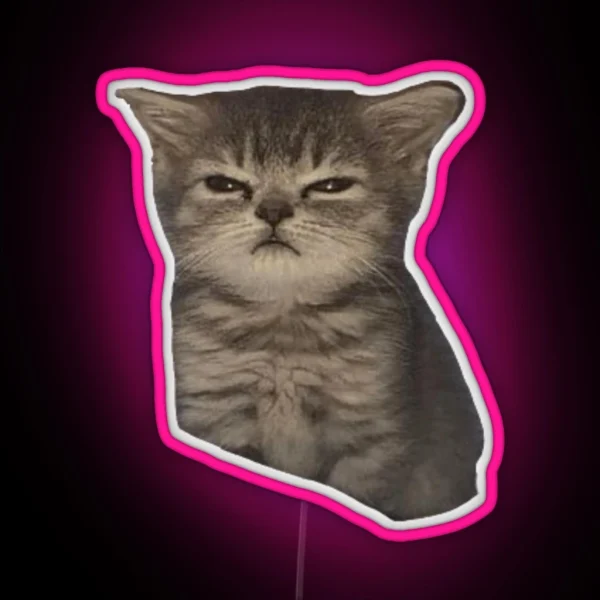 Sulky Mad Sad Cat Meme RGB Neon Sign