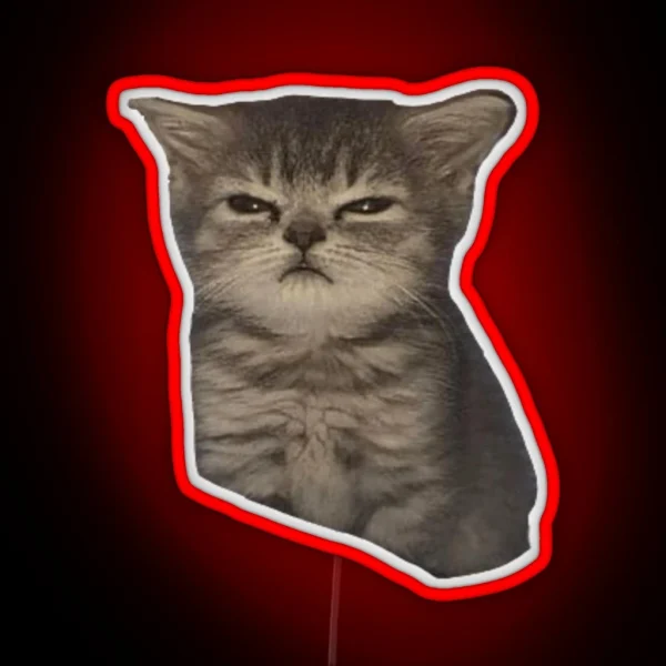 Sulky Mad Sad Cat Meme RGB Neon Sign