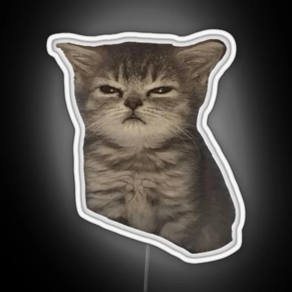 Sulky Mad Sad Cat Meme RGB Neon Sign