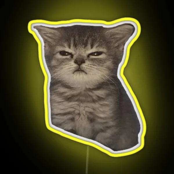 Sulky Mad Sad Cat Meme RGB Neon Sign