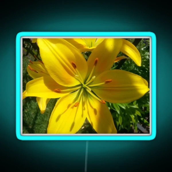 Summer Lily 2019 RGB Neon Sign