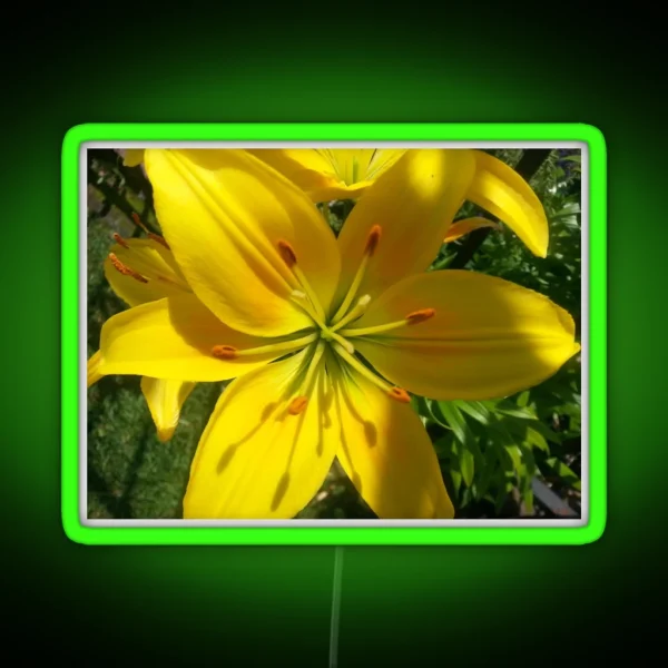 Summer Lily 2019 RGB Neon Sign