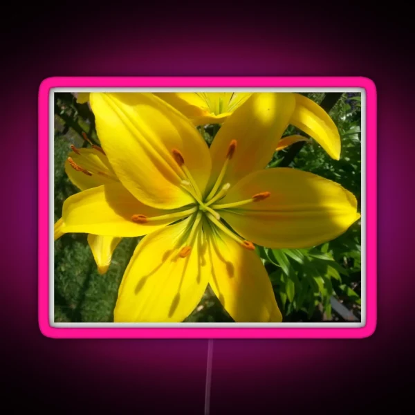 Summer Lily 2019 RGB Neon Sign
