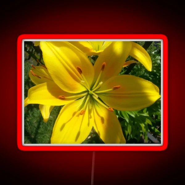 Summer Lily 2019 RGB Neon Sign
