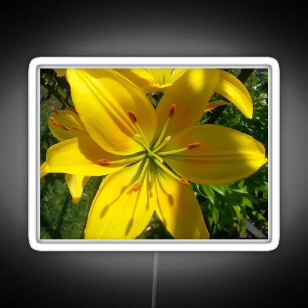 Summer Lily 2019 RGB Neon Sign