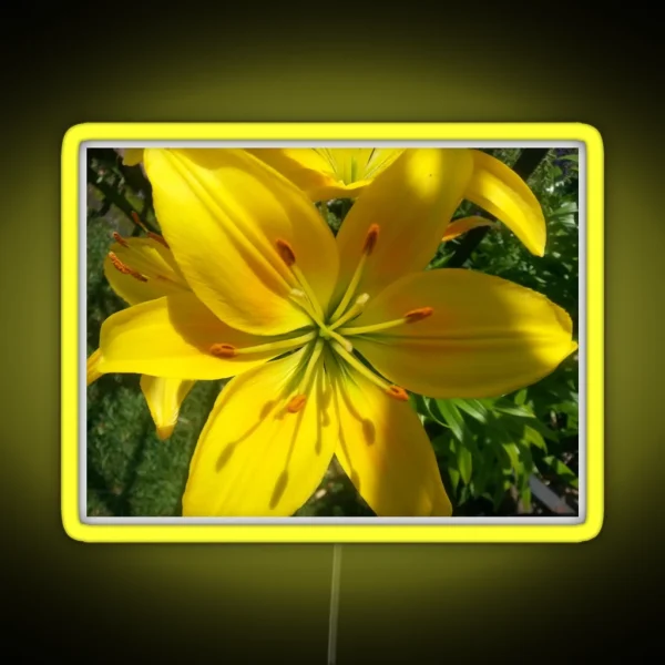 Summer Lily 2019 RGB Neon Sign