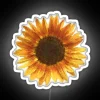 Brighten up your space with vibrant sunflower RGB neon glow