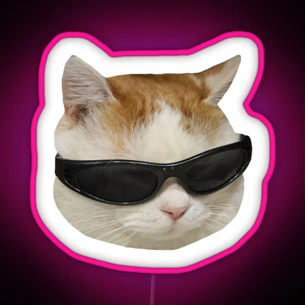 Sunglasses Cat Meme 4 White Outline RGB Neon Sign