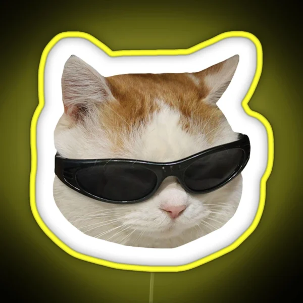 Sunglasses Cat Meme 4 White Outline RGB Neon Sign