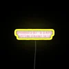 RGB Neon Sign for Home Decor with Straight Facts Quote