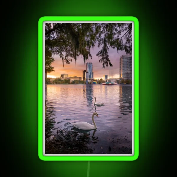 Swans At Lake Eola RGB Neon Sign